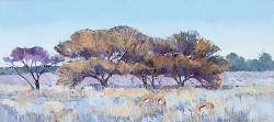 Thorn Trees near Goas - Etosha | 2014-15 | Oil on Canvas | 33 x 68 cm